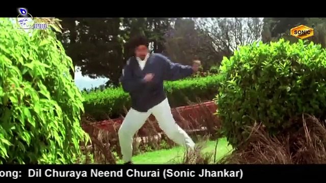 Dil Churaya Neend Churaya /1995 Jawab / Udit Naryan ,Kavita Krishnamurthy