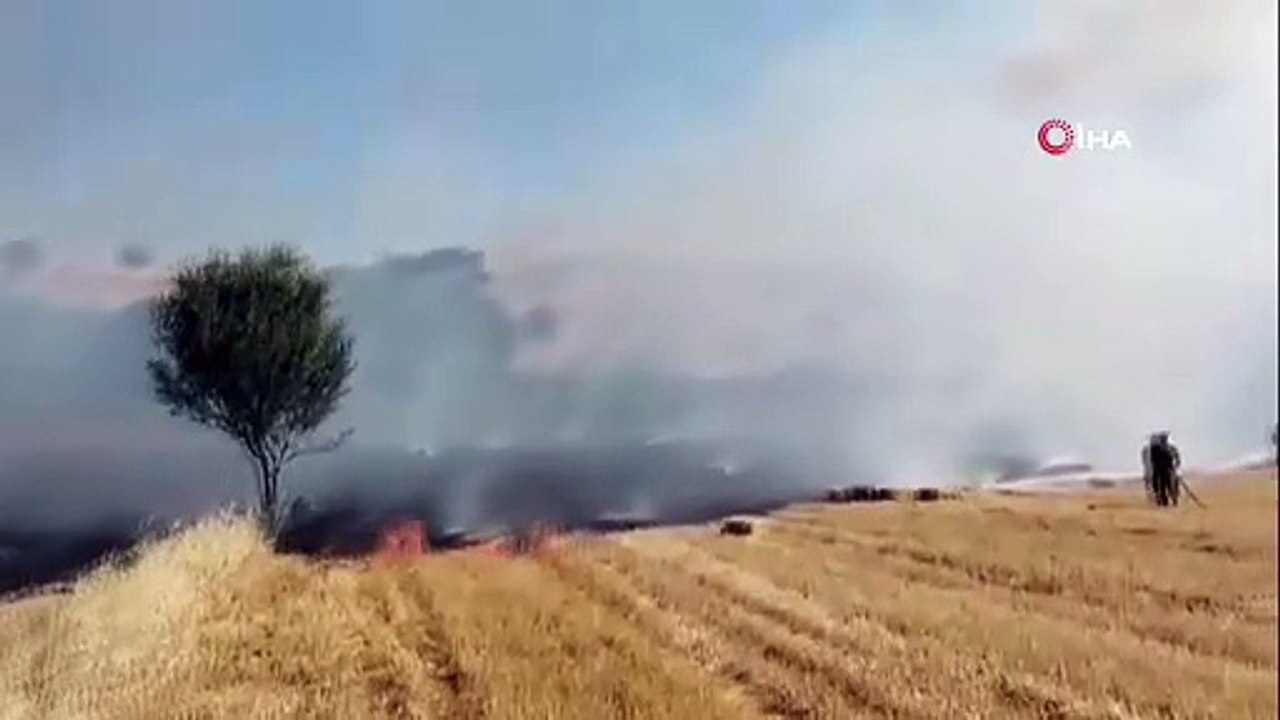 Balıkesir'de Tarla Alev Aldı! İtfaiye Rüzgara Karşı Zamanla Yarıştı