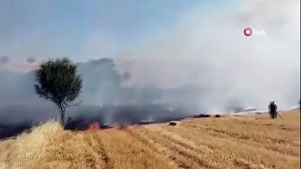 Balıkesir'de Tarla Alev Aldı! İtfaiye Rüzgara Karşı Zamanla Yarıştı