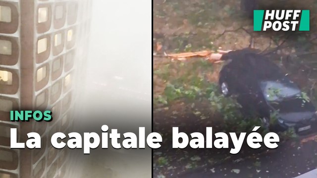 Orages à Paris : les images impressionnantes des arbres déracinés et des rafales de vent à plus de 100 km/h