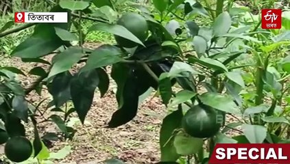 এগৰাকী অধ্যাপক এতিয়া এজন আদৰ্শ কৃষক, গুৰি ধৰিছে কৃষি বিপ্লৱৰ