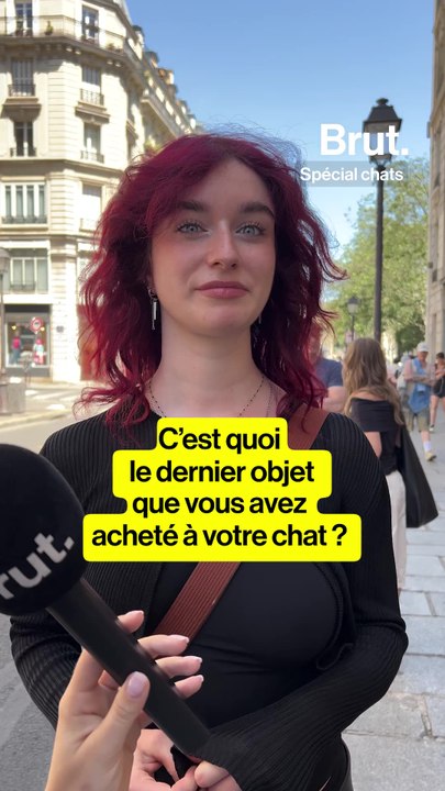 C'est quoi la dernière chose que vous avez acheté pour votre chat ?