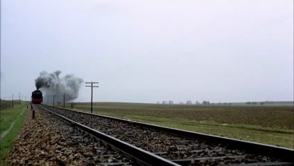 Tarde de perros: Two Lovers