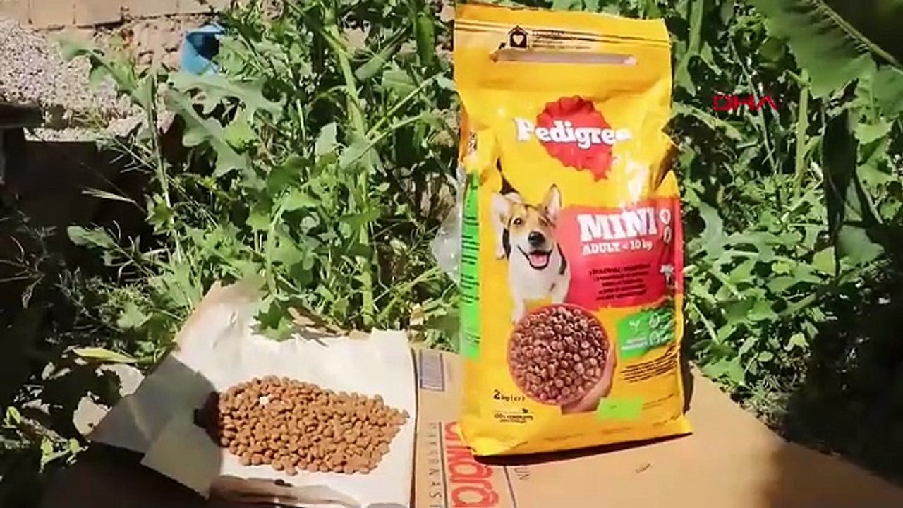 Şili'den bisiklet üstünde köpeğiyle yola çıkan gezgin Türkiye'de...