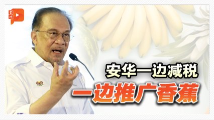 苹果橙子免SST 安华：其实香蕉更好