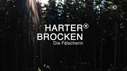 05 Harter Brocken Die Fälscherin