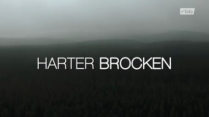 01 Harter Brocken