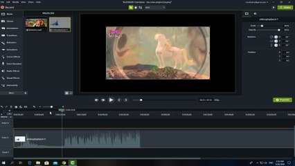 Exporting image from Camtasia