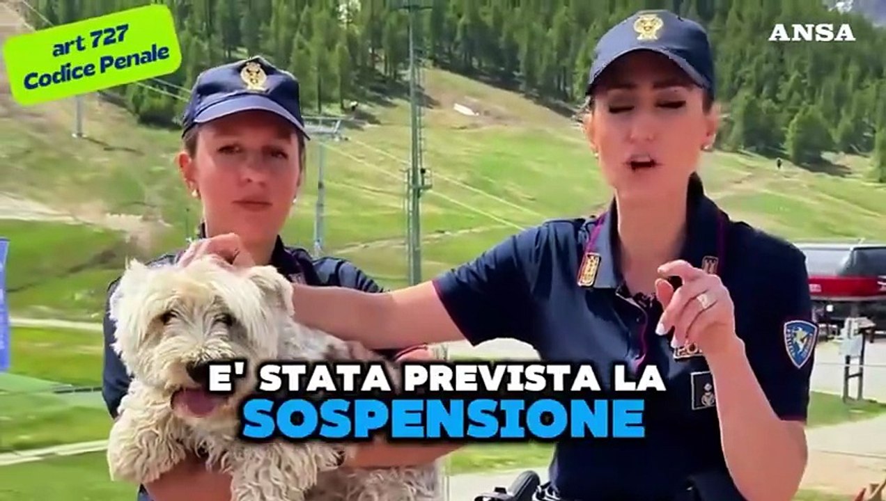 Lo spot della polizia contro l'abbandono degli animali