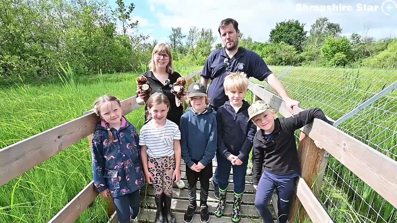 Children from Coleham Primary School, visit the Old River Bed, Shrewsbury after winning a competition to name the two new beavers.