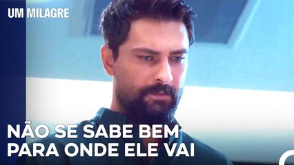 Ferman Sai Da Cidade Por Um Dia - Um Milagre