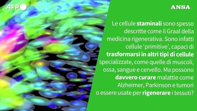 Ansa VERIFIED - Le cellule staminali aiutano a curare le malattie?