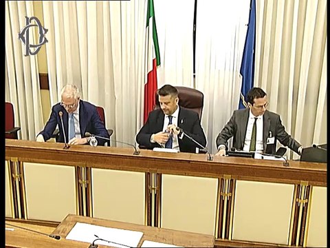 Roma - ​Semplificazione e digitalizzazione procedure amministrative, audizione Zangrillo (26.06.25)