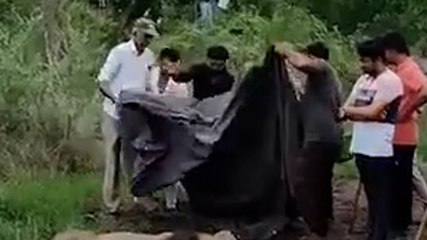 6 साल के बच्चे को उठा ले गया शेर, मिले अवशेष