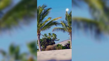 ¡Cristiano Ronaldo Renueva con el Al-Nassr! 🔥