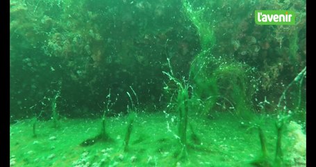 Les dessous de la carrière Thorn à Chercq