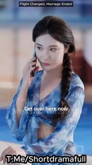 Flight Changed, Marriage Ended ReelShort