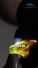 Hallan en Rusia una cucaracha de 35 millones de años dentro de un trozo de ámbar