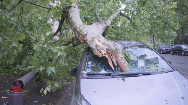 Voitures broyées, arbres à terre... Réveil douloureux à Paris après les orages violents