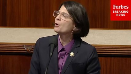 'Is This What We Thought We'd See?': Becca Balint Claims That ICE's Goal Is To Create 'Mass Fear'