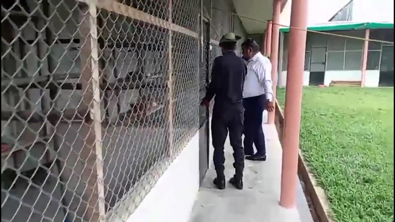 Un ESPAÑOL DETENIDO en PERÚ por TRAFICAR con ANIMALES