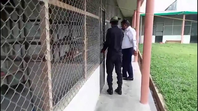 Un ESPAÑOL DETENIDO en PERÚ por TRAFICAR con ANIMALES