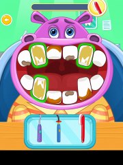 🦷 Animal Dentist Gameplay – Treating Adorable Animal Patients! 🐾