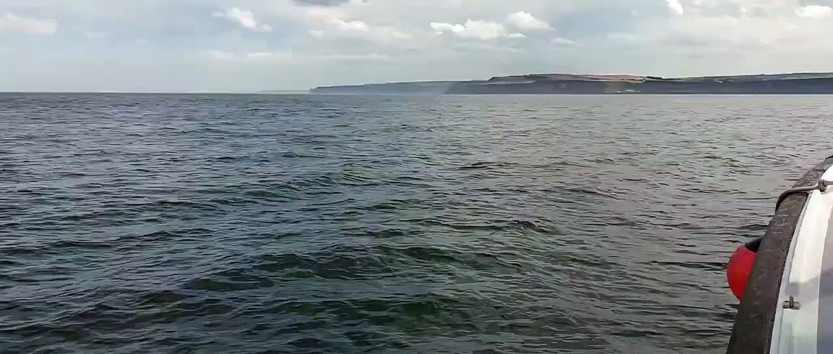 Minke Whale, Yorkshire Coast Nature Pelagic, 07.08.20-720p copy 2