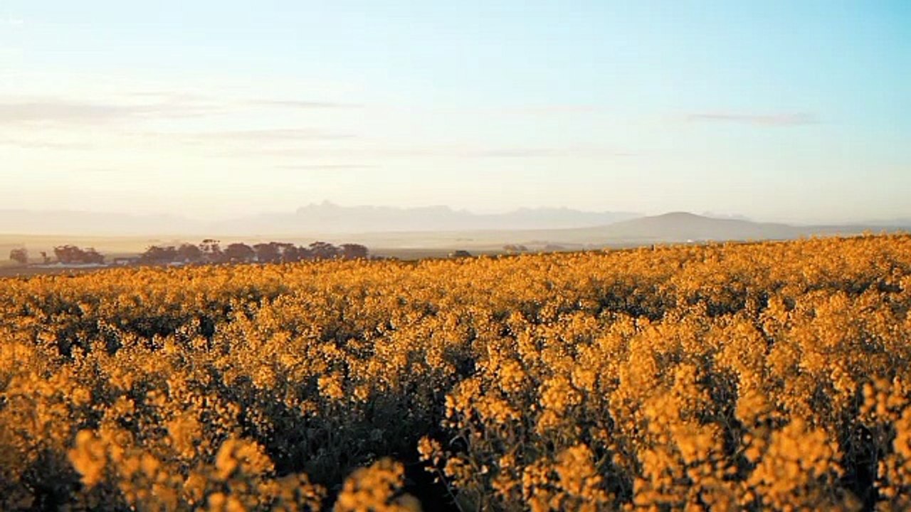 30 Minute to Unblock ALL 7 CHAKRAS • Aura Cleansing • Chakra Balancing and Healing.mp3