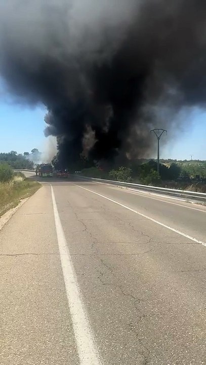 Extinguido el incendio en el Cerro de los Palos