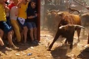 El vídeo más espectacular de la salida de La Saca de San Juan en Valonsadero