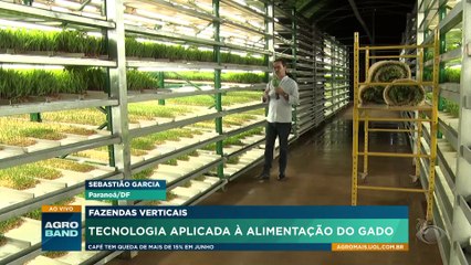 Fazendas verticais: tecnologia aplicada à alimentação do gado