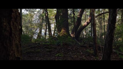 Cậu Bé Ma 2 - Brahms- The Boy II