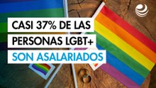 Casi 37% de las personas LGBT+ trabajan como comerciantes y profesionistas