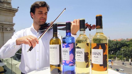 El arte de maridar vino, música y diseño: Palacio de Bornos brilla con una imagen renovada en las alturas de Madrid