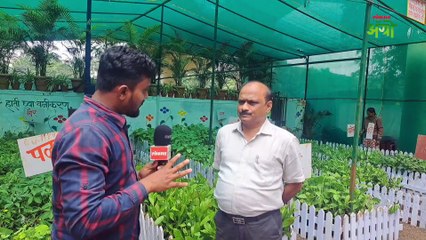 पुणे महापालिकेचा कोणतेही झाड ५ रूपये हा उपक्रम काय आहे?
