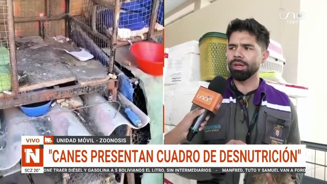 ¡En pésimas condiciones! Intervienen criadero clandestino en la zona sur de Cochabamba