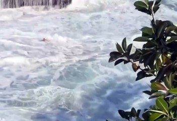 Mulher cai em alto mar após ser levada por onda em praia no Rio