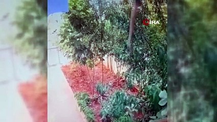 Gaziantep'te hamile kadının 3. kattan düşüp öldüğün anın görüntüleri ortaya çıktı