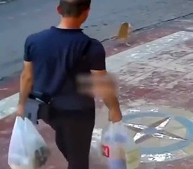 Un passant sauve un chat qui s'étouffe en pleine rue