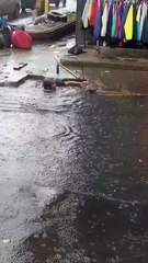 ¿Heroico o riesgoso? Hondureño saca basura de alcantarilla con sus manos