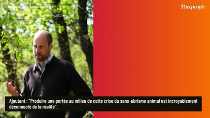 "Ils sont incroyablement déconnectés de la réalité" : Kate et William vivement critiqués par une célèbre association, un député prend leur défense