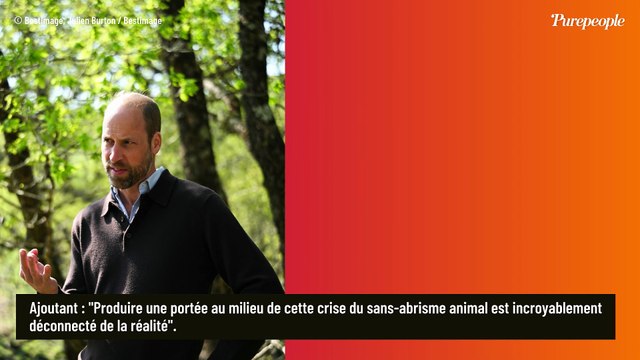 Ils sont incroyablement déconnectés de la réalité : Kate et William vivement critiqués par une célèbre association, un député prend leur défense