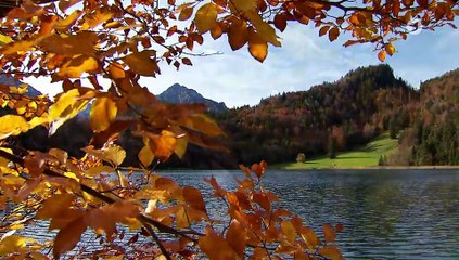 Sturm der Liebe 4447 folge