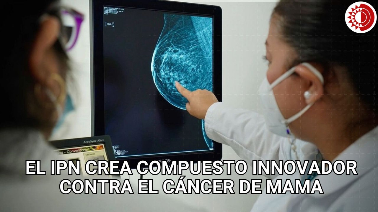 Científicos del IPN desarrollan compuestos que atacan células cancerígenas con mínimos efectos dañinos