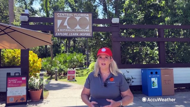 How people and animals both stay cool at the Central Florida Zoo
