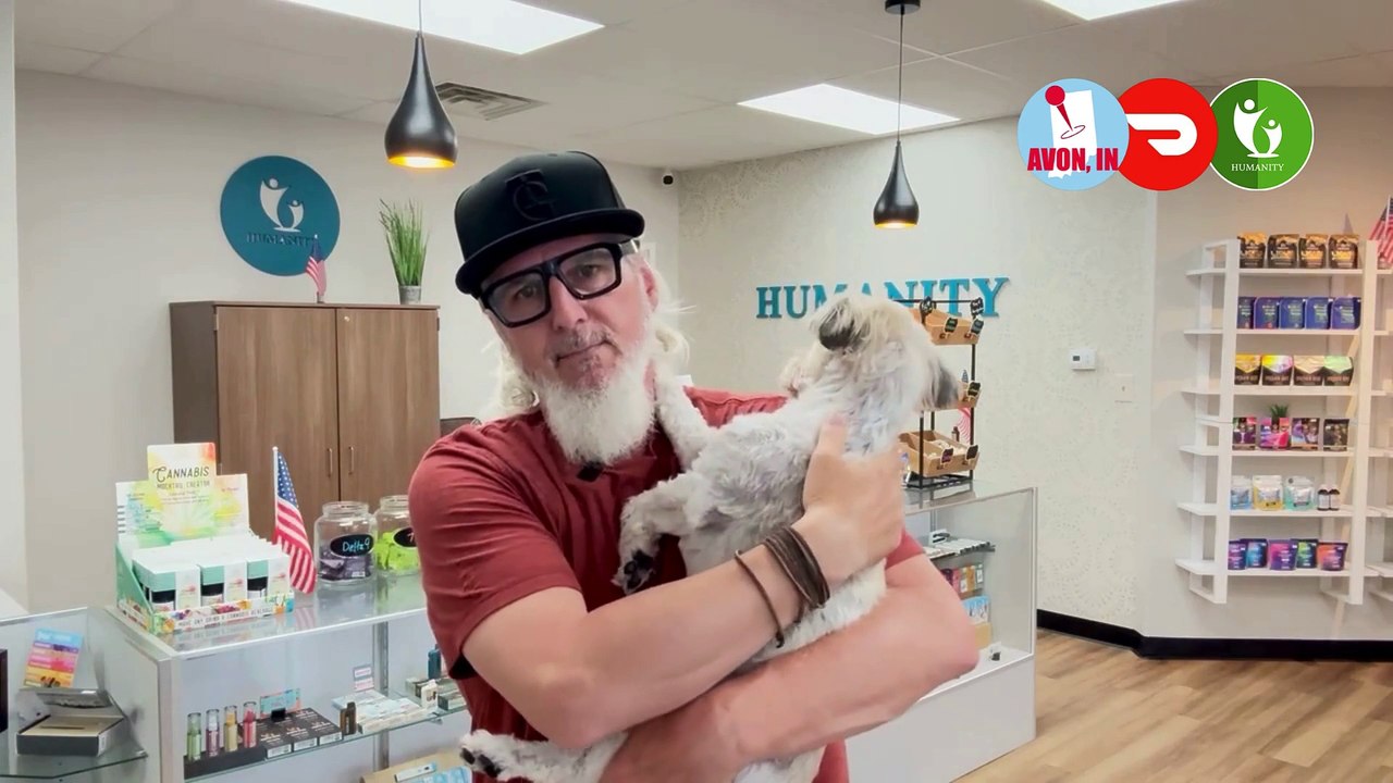 CBD for Dogs During Fireworks: Calm Fourth of July Tips