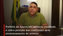 Prefeito de Aparecida condena crueldade e cobra punição aos criminosos após envenenamento de animais