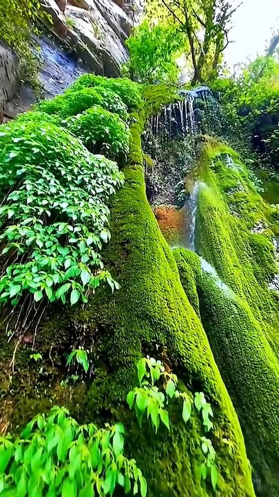 Belle nature