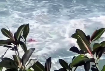 Vídeo: bombeiro salva banhista de afogamento e imagens impressionam; veja